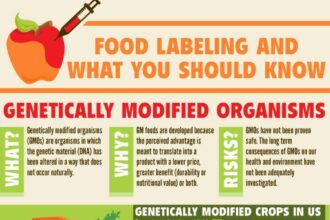 Food Labeling What You Should Know