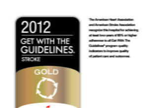 2012 Get With The Guidelines-Stroke Gold Icon