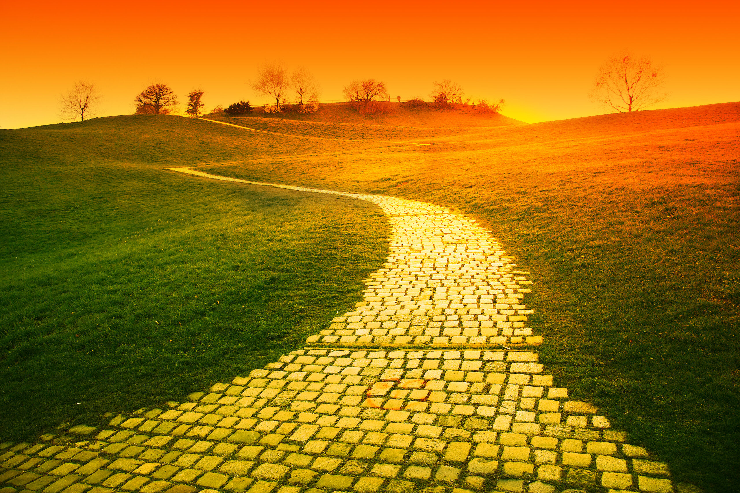 Yellow Brick Road Text Meaning