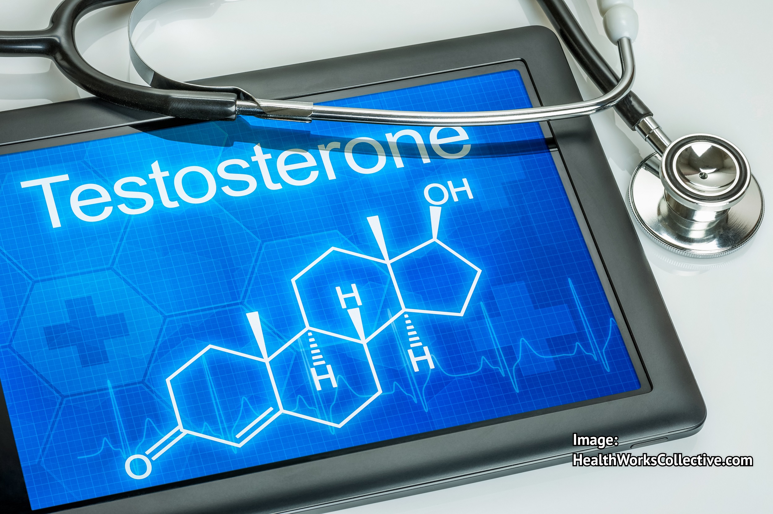 Zinc and Testosterone – Does Zinc Support Testosterone Levels? - Health ...