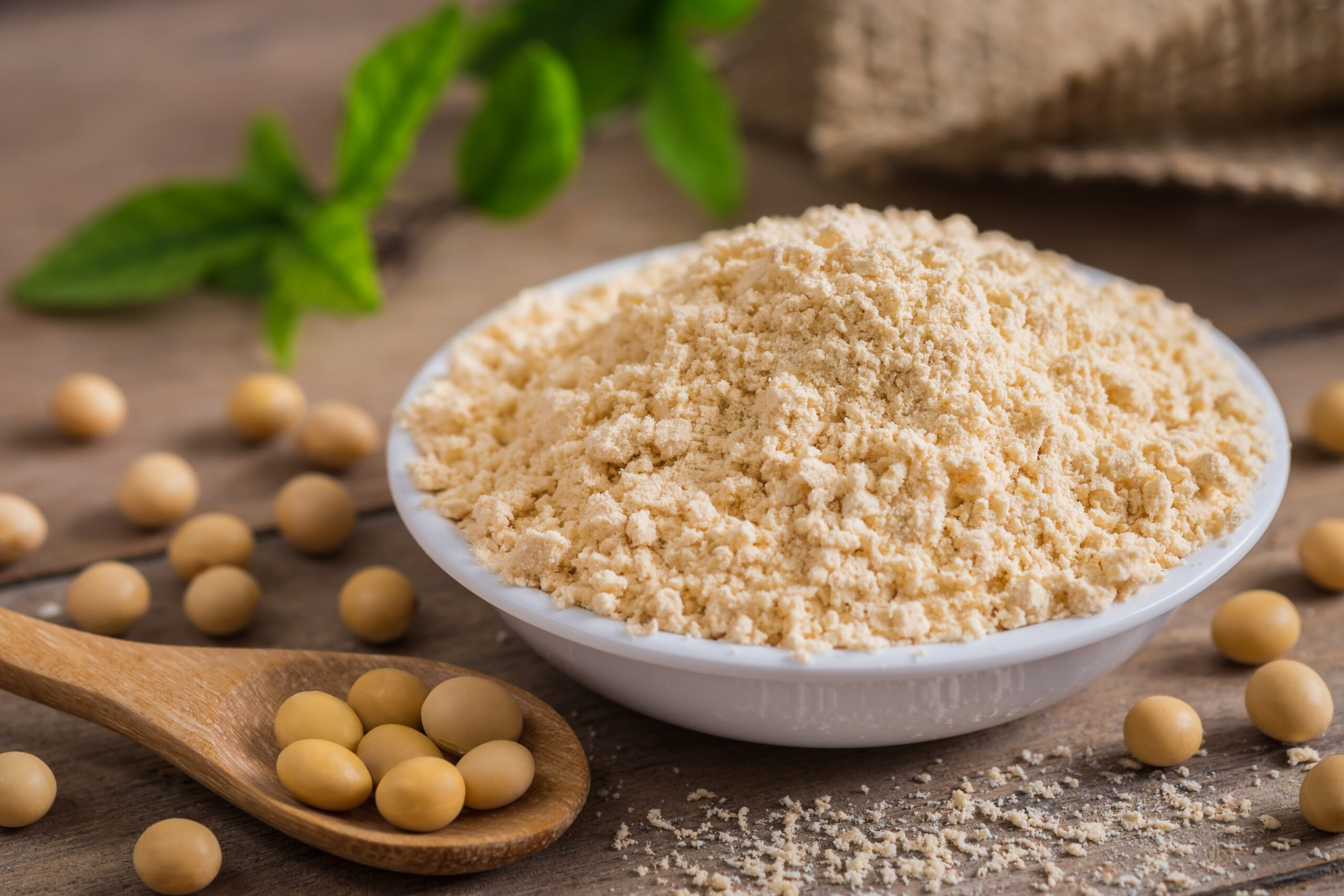 soy-based-protein-nutritional-supplements-garner-positive-reviews