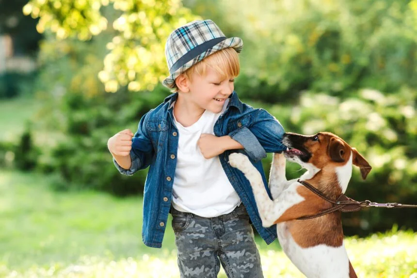 what happens if my dog bites a child